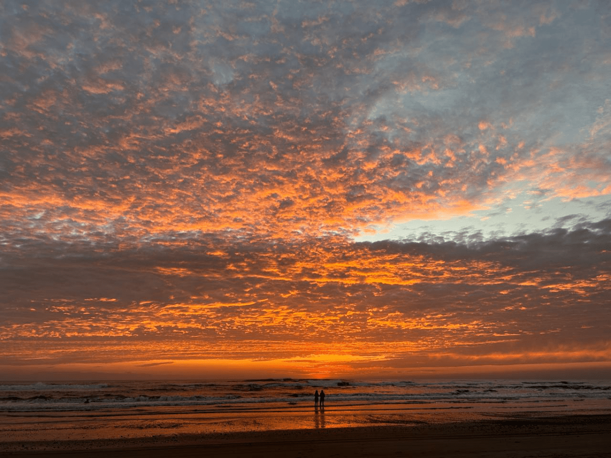 A Guide to the Beaches of&nbsp;Nosara