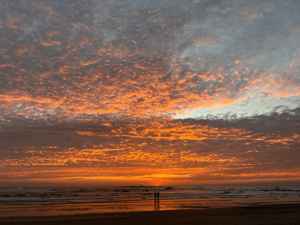A Guide to the Beaches of&nbsp;Nosara